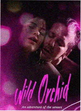 峨眉山电影网电影题材格口示意图